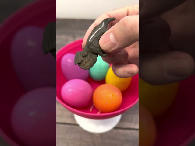 Anteater Toy Egg Surprise