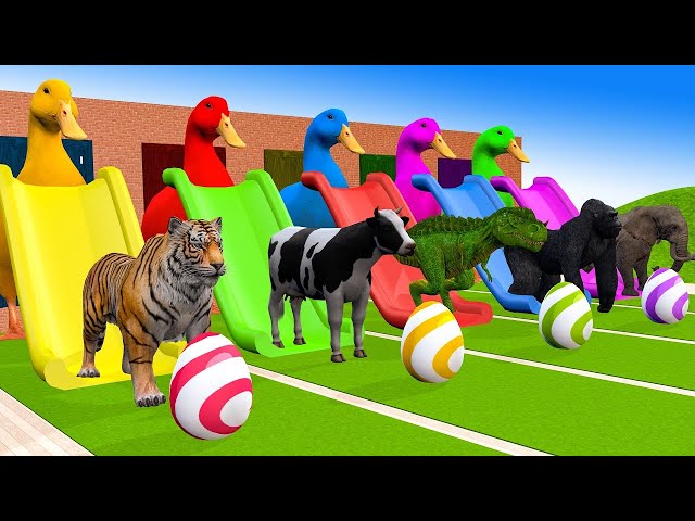 5 Giant Duck Cartoon, Paint & Animals Lion, Gorilla, Bear,Tiger , Cow Wild Animals Crossing Fountain