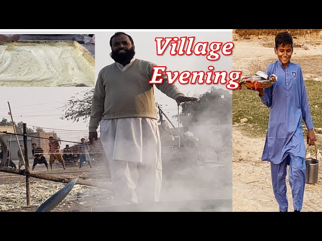 Wonderful Evening in Village| Enjoyed volleyball and Jaggery|Beautiful Rural Life|Dr Rizwan’s Family