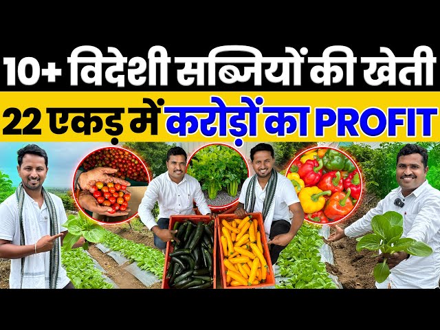 Exotic Vegetables के बादशाह👑💯आधे एकड़ से शुरू की खेती आज है 22 एकड़ का साम्राज्य😱🔥Indian Farmer