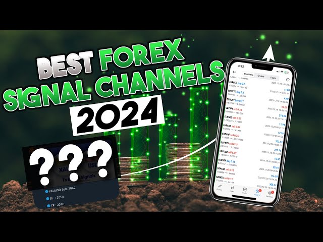 Testing the BEST Forex Signal Channels of 2024 | The CopyTrader