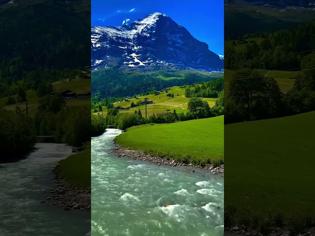 Relaxing Nature #switzerland #lifeinswitzerland #relaxingswitzerland #nature #4k #travel