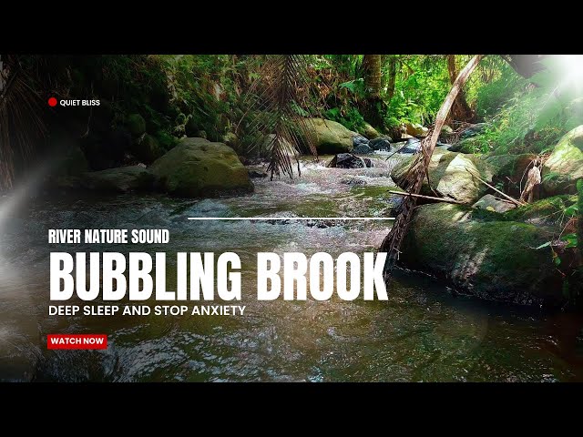 Babbling Brook for Deep Sleep & Stop Anxiety : 10 Hours Water Flow Sound