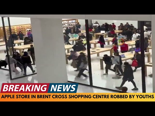 BREAKING NEWS: GROUP OF YOUTHS STEAL FROM APPLE STORE IN BRENT CROSS SHOPPING CENTRE