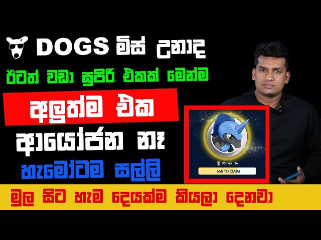 MysterPentagon Airdrop A to Z Guide and Tips Sinhala | අලුතින්ම ආපු Pentagon  ගැන සියල්ලම සරලව