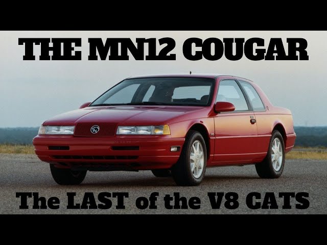 MN12 COUGAR - Was the last Cat the best of them all?