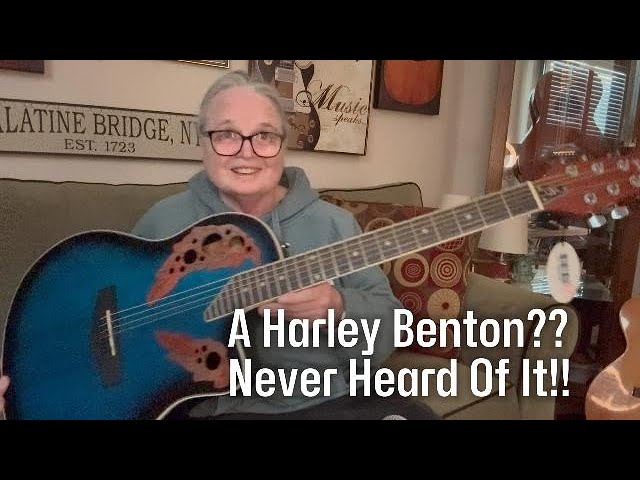 Guitar Review: Harley Benton ** Can A Guitar This Cheap Sound Good? HBO850 BL