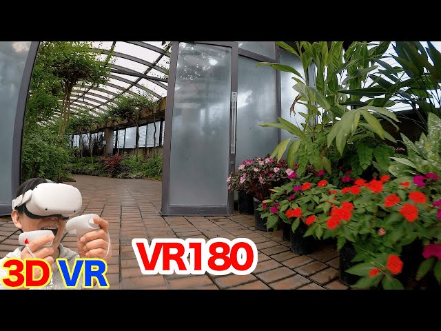 [VR180] Let's explore the botanical gardens! / 3D video in VR180 format