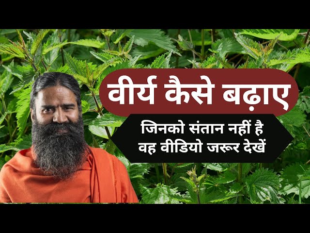 Virya Badhane Ke Upaye | Baba Ramdev