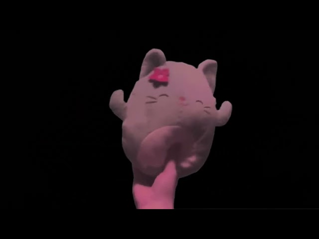 Free To Use Clip Compilation - Ms. Miss Cat Squishmallow