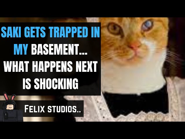 SAKI GETS TRAPPED IN MY BASEMENT..WHAT HAPPENS NEXT IS SHOCKING.. | Felix Studios