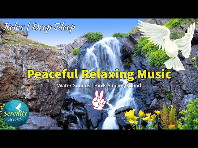 Peaceful Relaxing Music And Calming Nature Water Sounds | Bird Singing Sound - [2 Hours]