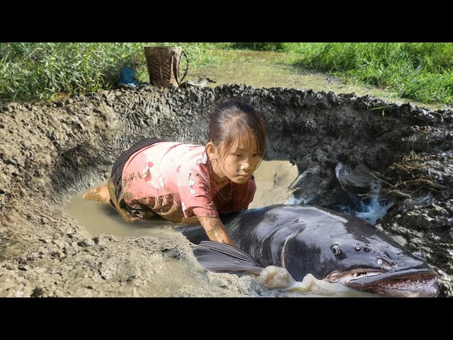 The Poor Girl survives dangerous highland forest - Uses ancient tools to catch fish | Poor Girl +