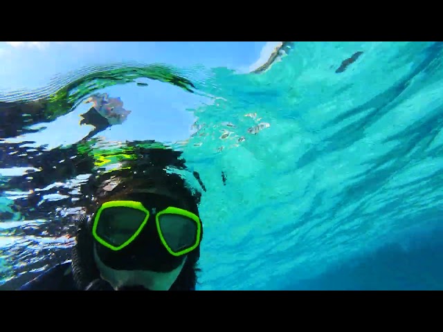 Maldives 20250202 - snorkel vid 11