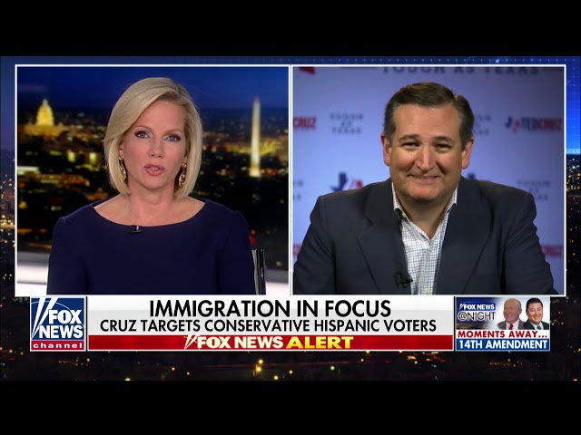 Will the Texas Senate race turn on immigration