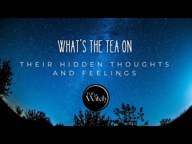 🩷🤯☕ ALL ZODIAC SIGNS:  What's the TEA on your person's hidden thoughts and feelings!! ☕🤯🩷 #tarot