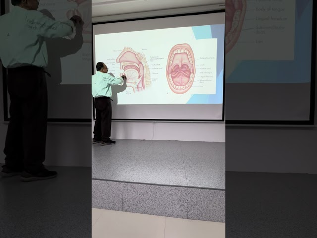 Oral cavity1