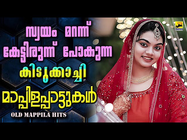 Mappila Pattukal | Mappila Songs | പഴയ മാപ്പിളപ്പാട്ടുകൾ | Old Is Gold Mappilappattukal | Old Songs