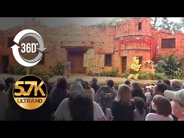 UP! A Great Bird Adventure in 5.7K Shot on a Garmin VIRB 360 Disney's Animal Kingdom