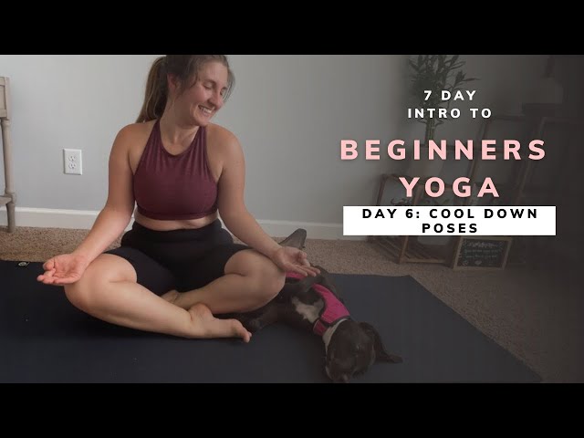 Yoga for Stress Relief - Mindfulness - Beginner’s Yoga for Relaxation - 20 minutes