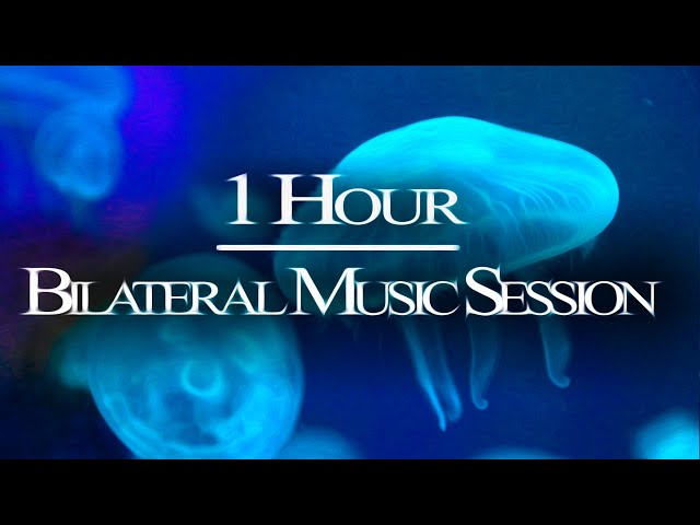 1 HR Bilateral Music Therapy - Relieve Stress, Anxiety, PTSD, Nervousness - EMDR, Brainspotting