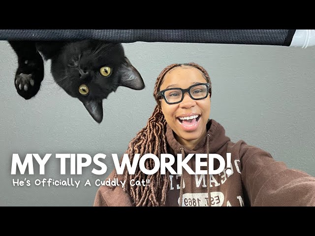 8 Tips for Creating a Cuddly Cat| Rico’s 4 Month Update