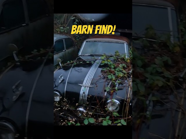 The Most Incredible Barn Finds - Abandoned Car Collections