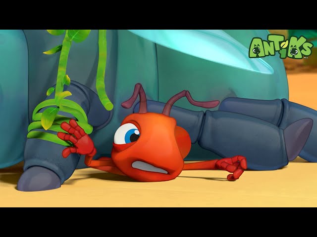 Stuck on You | Antiks 🐜 | Funny Cartoons for Kids