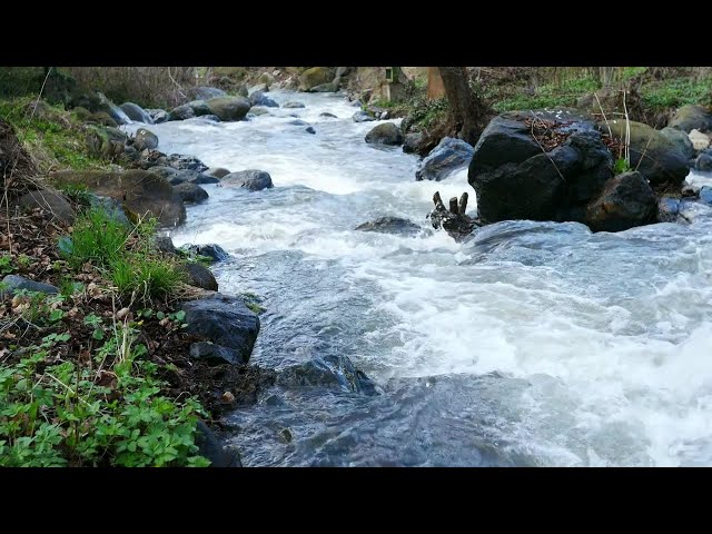 🌊 Relaxing River Sounds - Flowing Water for Deep Sleep, Meditation & Stress Relief