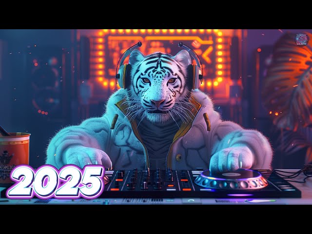 EDM Bass Boosted Music Mix 2025 🎧EDM Remixes of Popular Songs 🎧 EDM Music Mix 2025