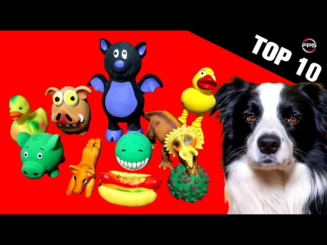 10 Squeaky Toy Dog Toys 🔊 Solve Your Dog's Boredom 🐶