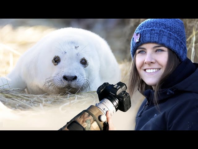 CAMERA GEAR: This is how I get my wildlife photos. Canon R5