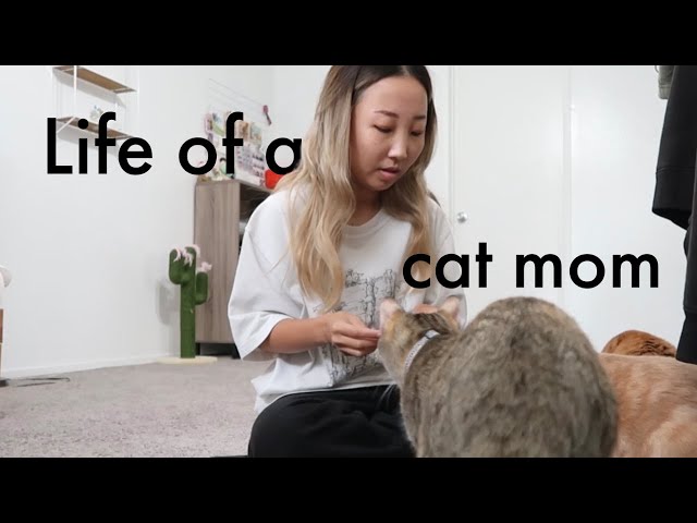 life of a cat mom