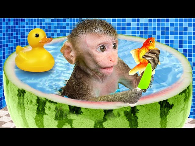 BonBon Monkey bath in Bubble Bathtub and blow Giant Bubble Soap with Duckling | BOSS ANIMAL HT