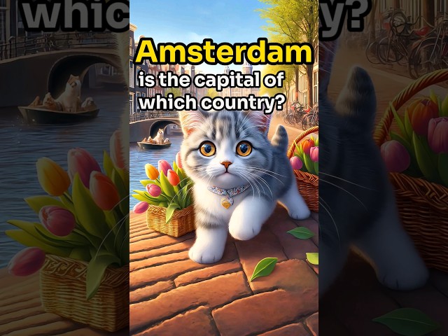 【CAT STORY】 GUESS Amsterdam is the capital of which country? #quiz #shorts #subscribe #cat #cute