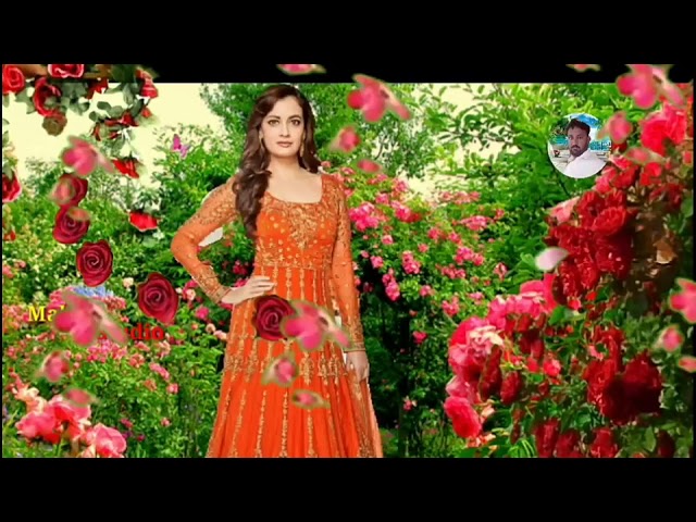 Urdu status song(1)