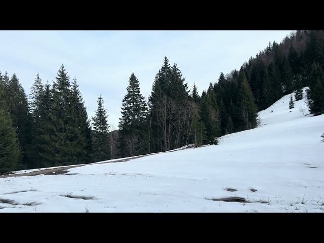 Schliersee to Tegernsee Walk