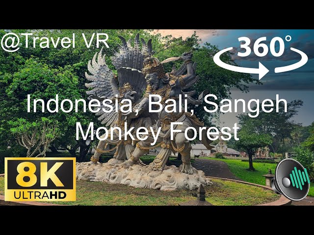 Sangeh Monkey Forest is the place to play with monkeys and see nice statues in Bali, Indonesia