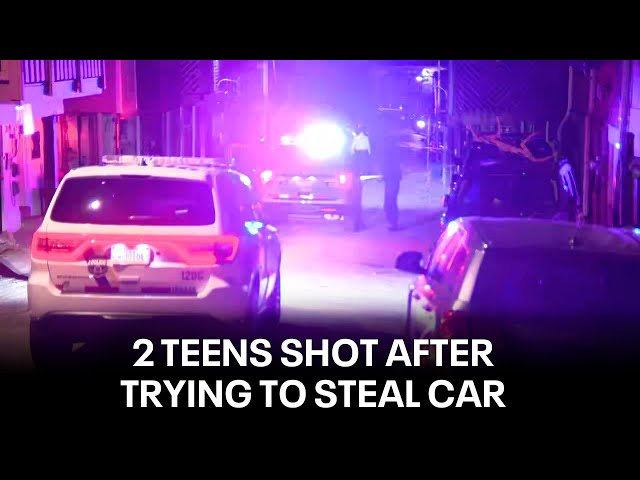 2 teens shot after attempting to steal car