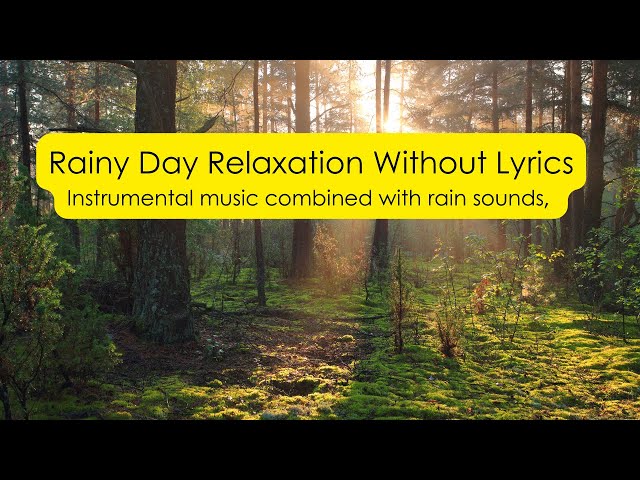 Rain Forest And Bird Sounds Relaxation Without