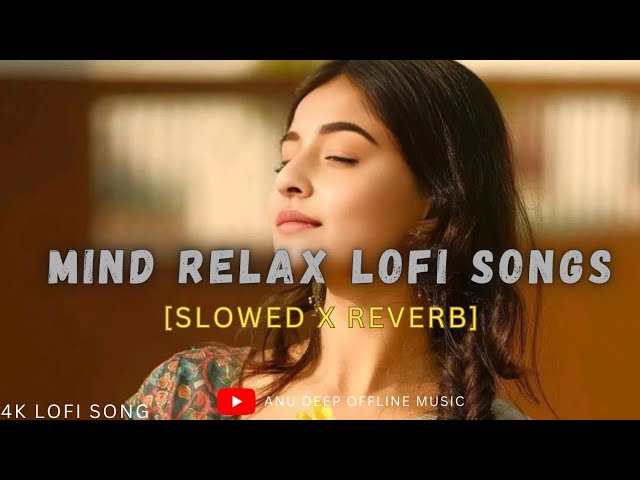 Mind Relaxing Songs 2024 | Mind Relax Lofi Mashup 2024 | Mind Relaxing Music | Anu Deep Tirkey-0002