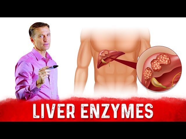 High Liver Enzymes [ALT & AST] – What Do They Mean? – Dr.Berg