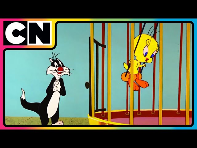 Looney Tunes🐰| Non-stop Fun 🤩| The Wacky World of Looney Tunes! 🐰 | 90s Cartoons | 90s | @cnindia