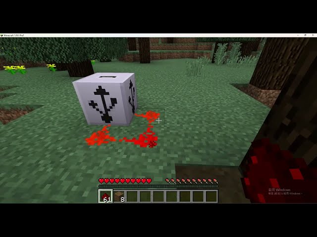 special minecraft thing