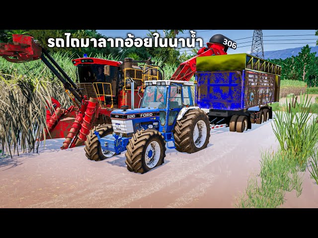 รถตัดอ้อยล้อยางลุยตัดอ้อยในน้ำโหดจัดอ้อยเต็มไปด้วยน้ำ | Farming Simulator 22