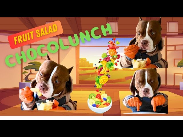 Bully Eats Fruit Salad with Human Hands | ASMR | Funny Dog Video