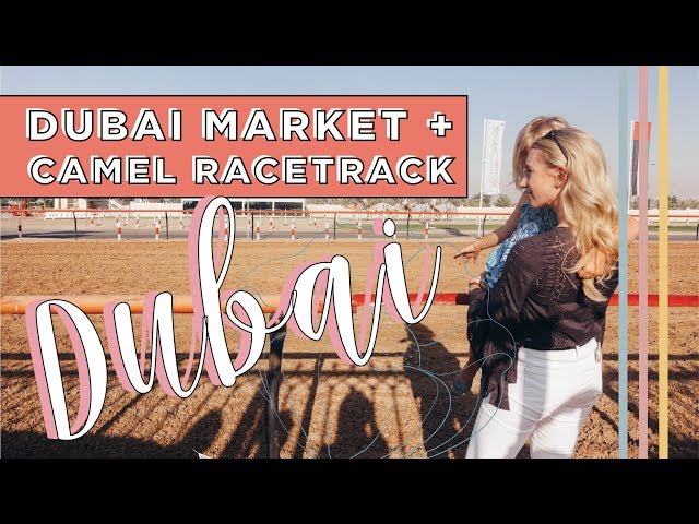 Dubai Vegetable Market + Camel Races | Feb 2018