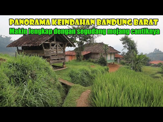 Pesona Kampung Di Bandung Barat. Terpencil Tapi Memiliki Segudang Mojang Cantik Pisan Euy..