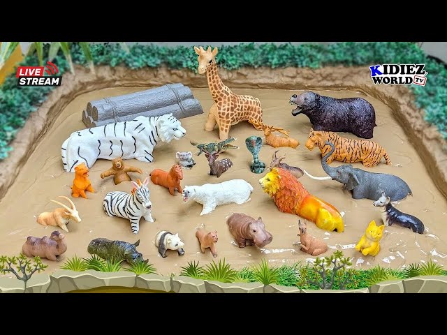 Amazing Animal Sounds: Secrets of the Wild | Animals Names and Sound