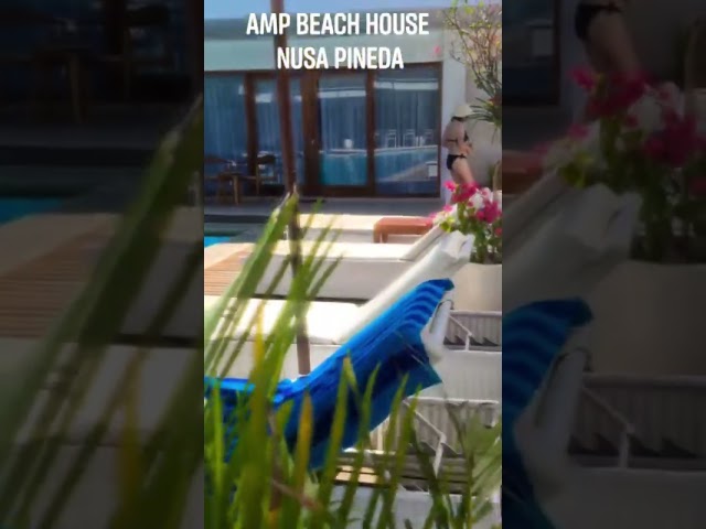 AMP  Beach House: My Stunning Hotel In Nusa Penida!